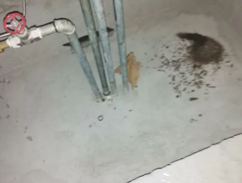 梓潼卫生间测漏水价格明细